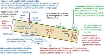 Exploring the Critical Role of Water in Regenerative Agriculture; Building Promises and Avoiding Pitfalls